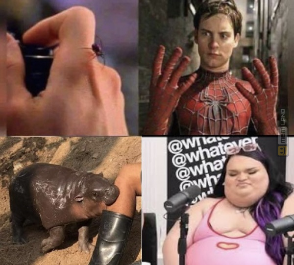 Śmieszny mem: 6082195 - MemLand