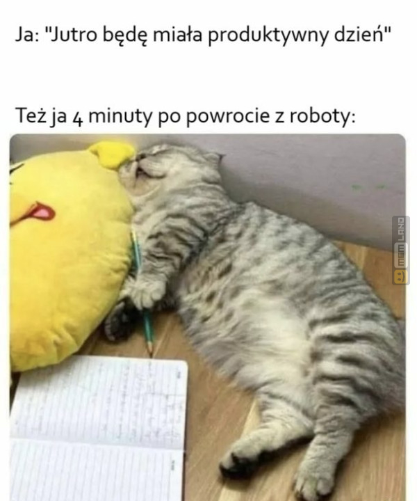 Śmieszny mem: 6082440 - MemLand