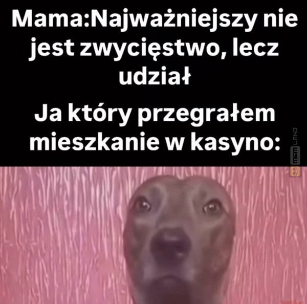 Śmieszny mem: 6101385 - MemLand