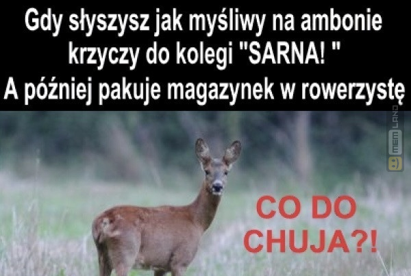 Śmieszny mem: 6102041 - MemLand