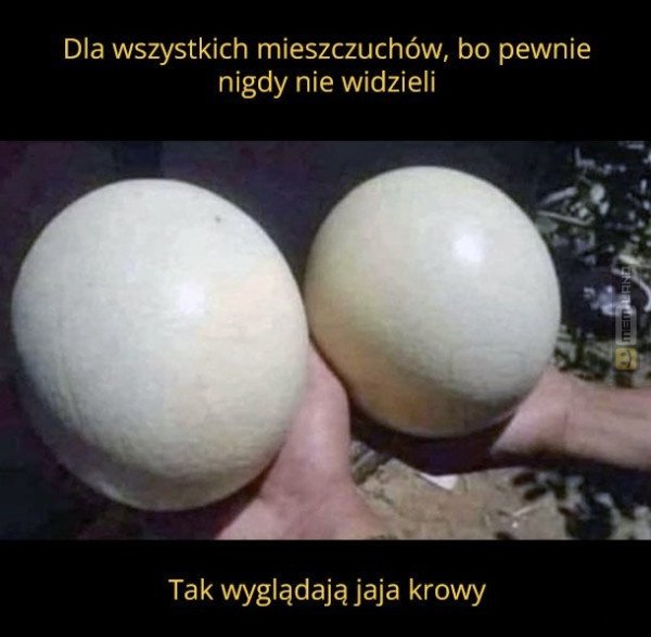 Śmieszny mem: 6106687 - MemLand