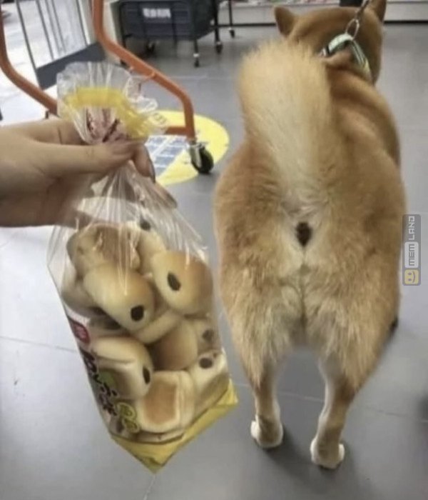 Śmieszny mem: 6112358 - MemLand