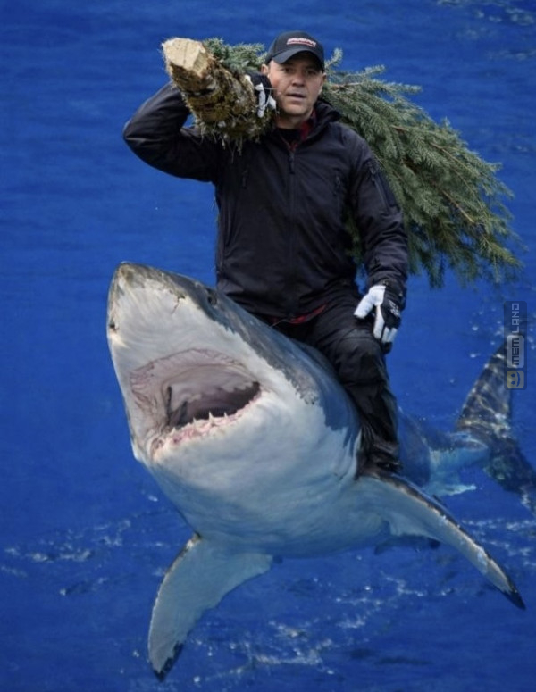 Śmieszny mem: 6118540 - MemLand