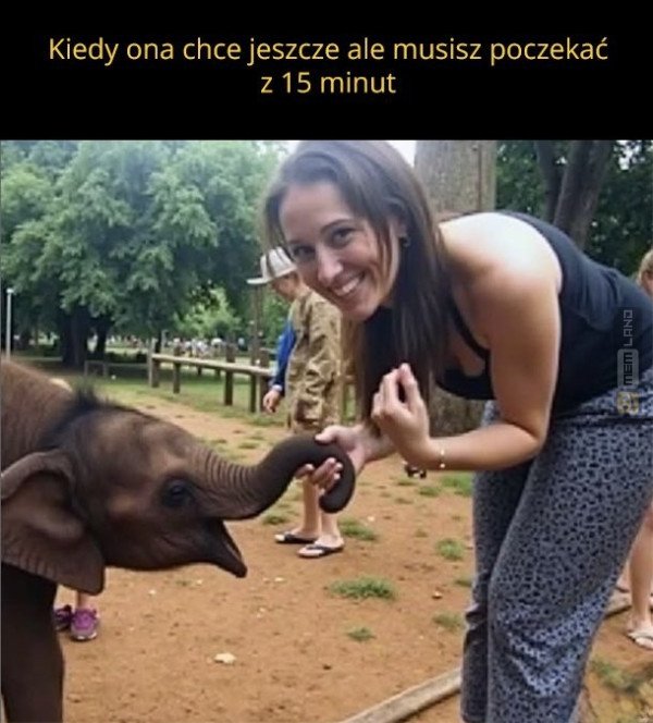Śmieszny mem: 6119221 - MemLand