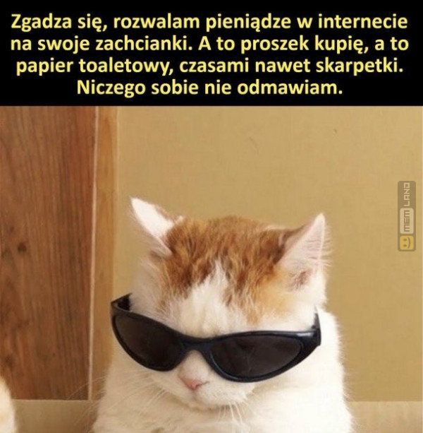 Śmieszny mem: 6123211 - MemLand