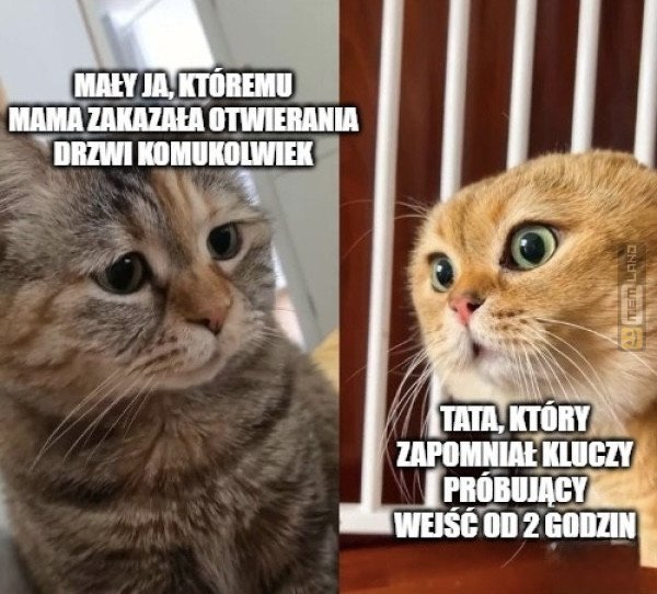 Śmieszny mem: 6123415 - MemLand