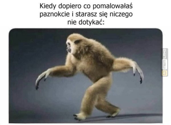 Śmieszny mem: 6127886 - MemLand