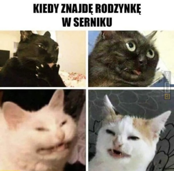 Śmieszny mem: 6131001 - MemLand