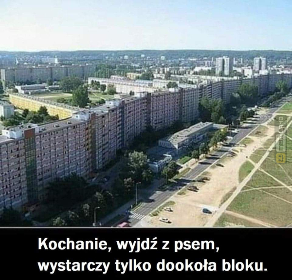 Śmieszny mem: 6144097 - MemLand