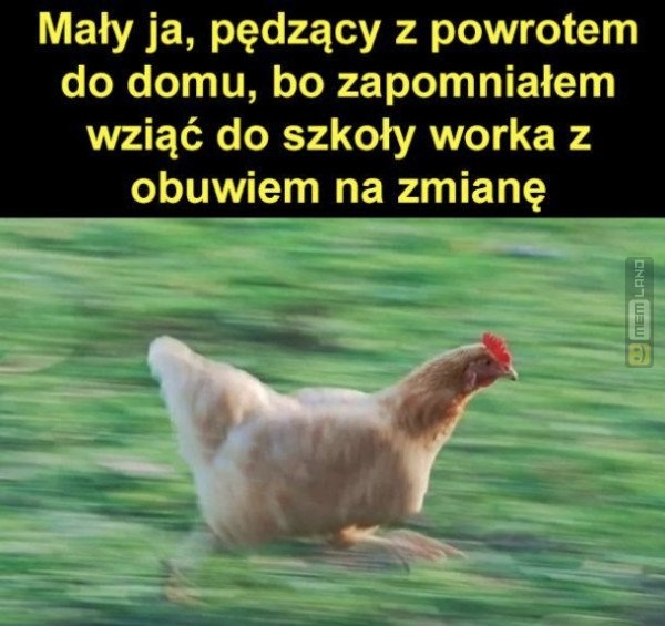 Śmieszny mem: 6146525 - MemLand