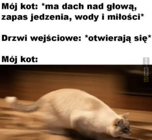 Śmieszny mem: 6149755 - MemLand