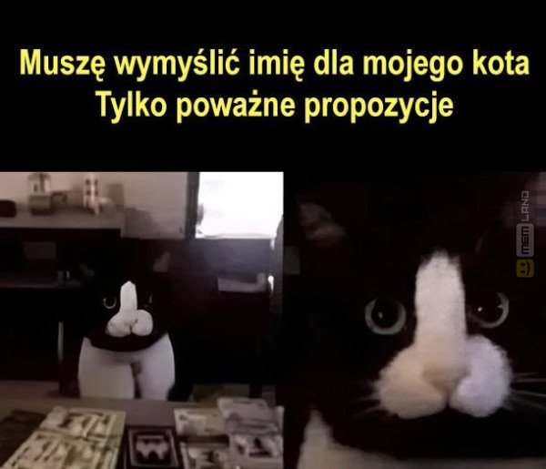 Śmieszny mem: 6152195 - MemLand