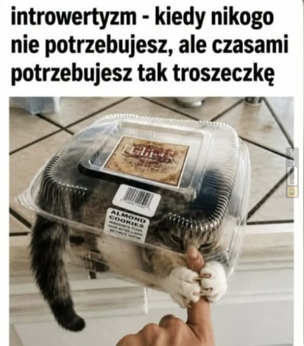 Śmieszny mem: 6153582 - MemLand