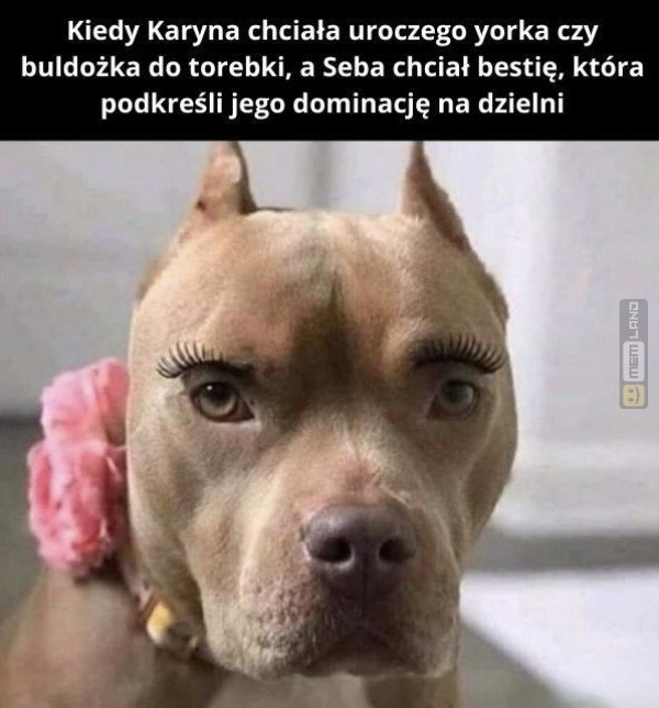 Śmieszny mem: 6154554 - MemLand