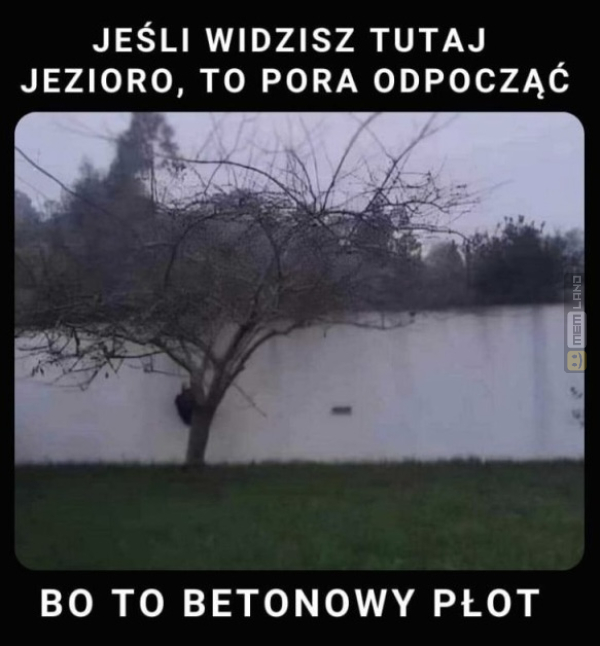 Śmieszny mem: 6164800 - MemLand