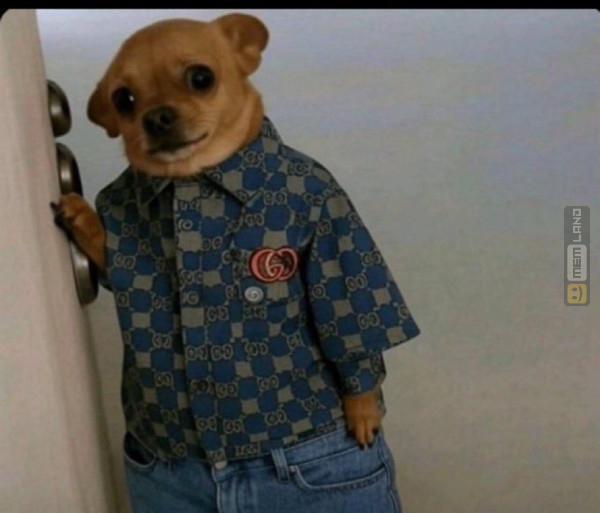 Śmieszny mem: 6166812 - MemLand