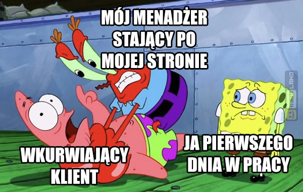 Śmieszny mem: 6168529 - MemLand