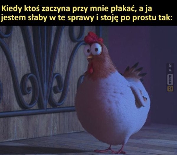 Śmieszny mem: 6180946 - MemLand