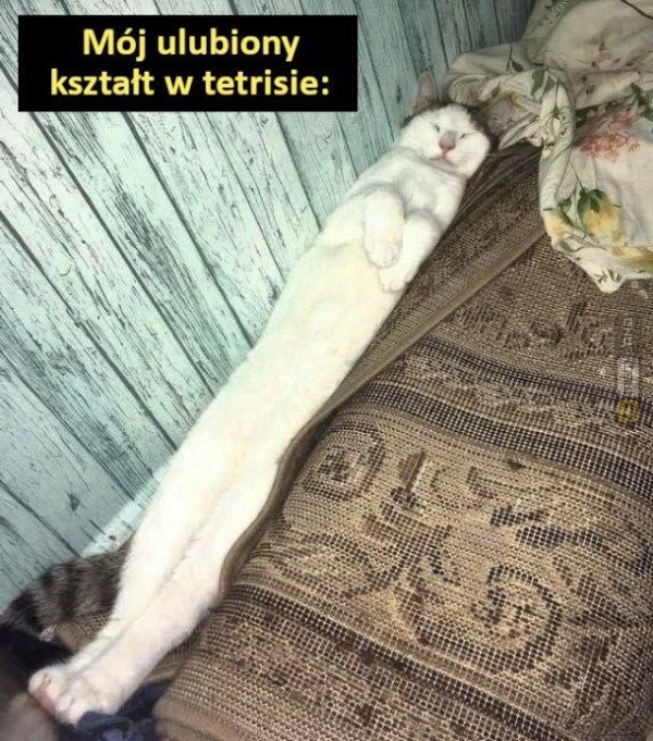 Śmieszny mem: 6181054 - MemLand