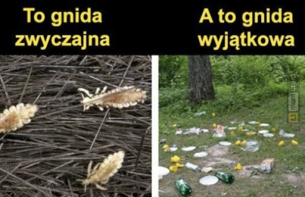 Śmieszny mem: 6182070 - MemLand