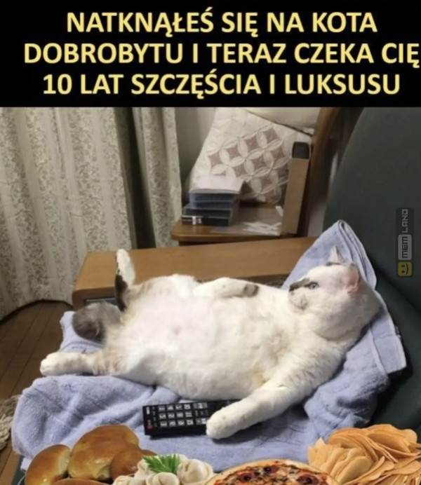 Śmieszny mem: 6184746 - MemLand