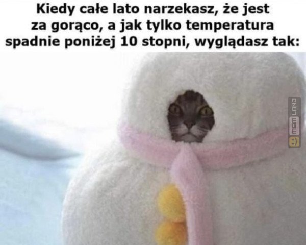 Śmieszny mem: 6206559 - MemLand