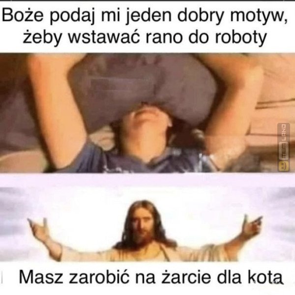 Śmieszny mem: 6206803 - MemLand