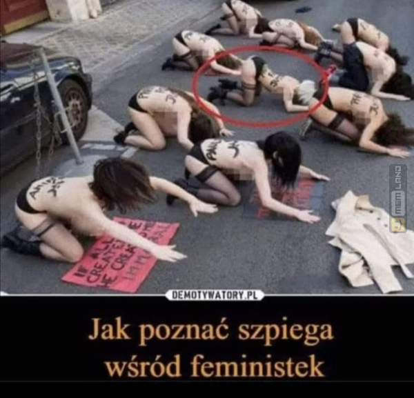 Śmieszny mem: 6207722 - MemLand