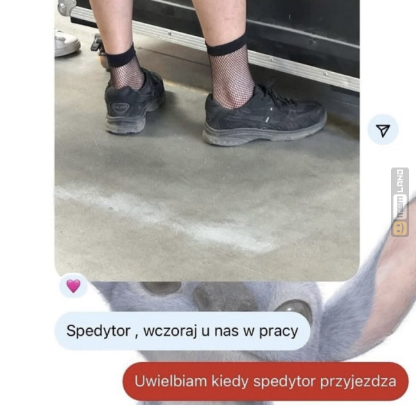 Śmieszny mem: 6210646 - MemLand