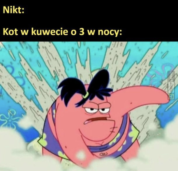 Śmieszny mem: 6217880 - MemLand