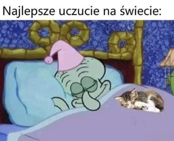 Śmieszny mem: 6221555 - MemLand