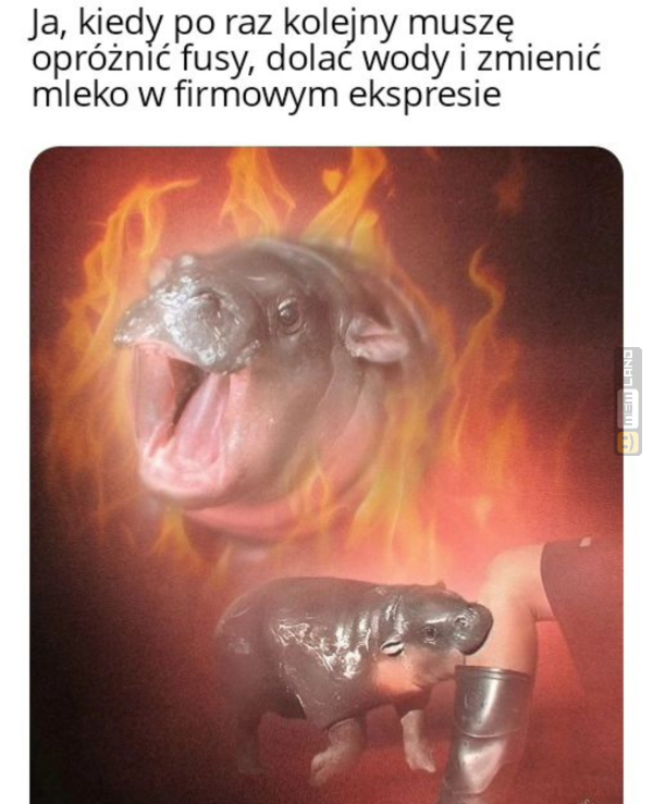 Śmieszny mem: 6223889 - MemLand