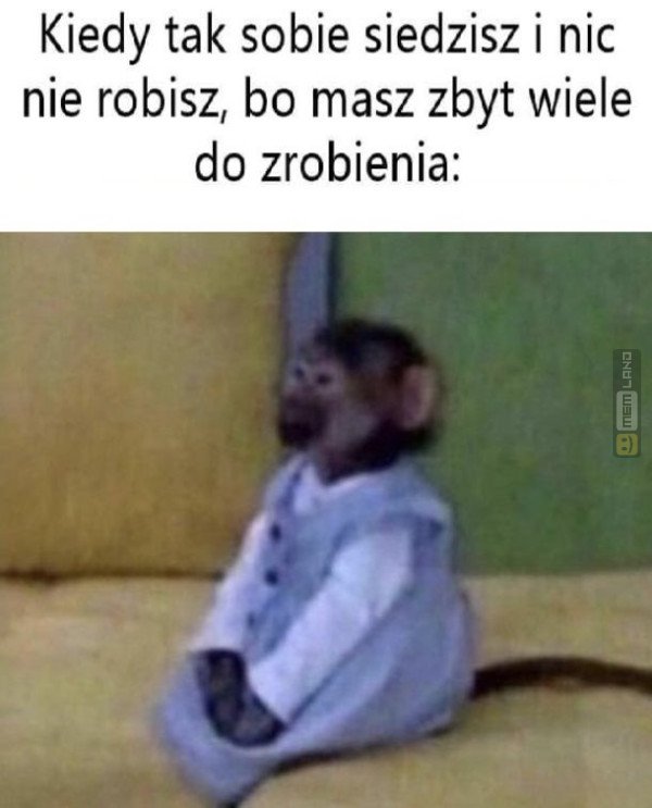 Śmieszny mem: 6242166 - MemLand