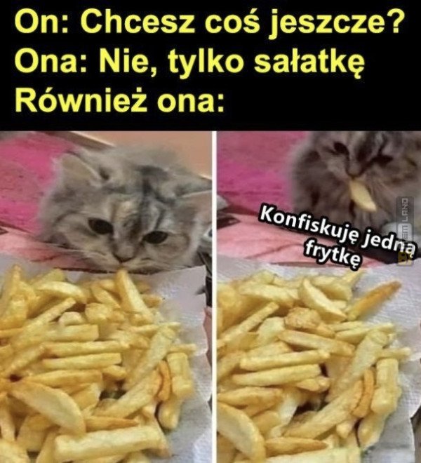 Śmieszny mem: 6252825 - MemLand