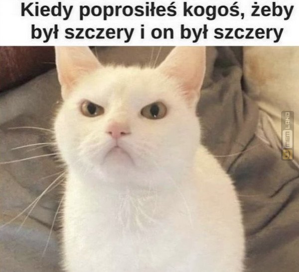 Śmieszny mem: 6261155 - MemLand