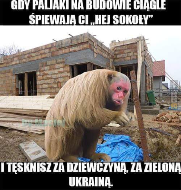 Śmieszny mem: 6262755 - MemLand