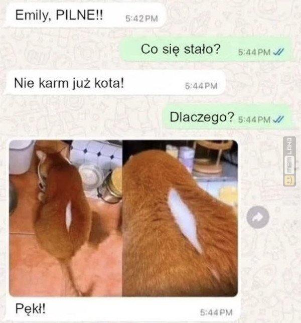 Śmieszny mem: 6263765 - MemLand