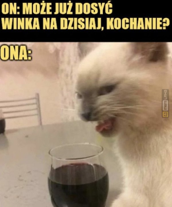 Śmieszny mem: 6273188 - MemLand