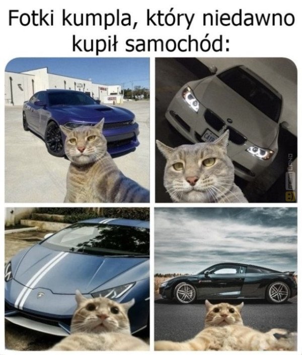 Śmieszny mem: 6273920 - MemLand