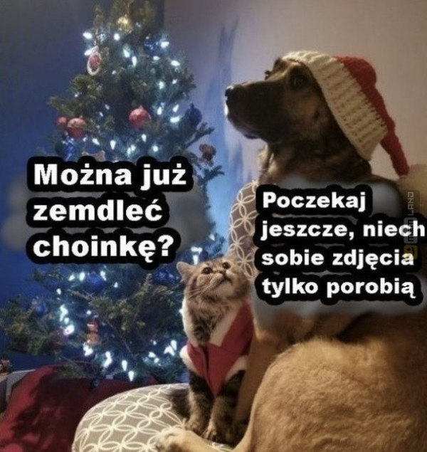 Śmieszny mem: 6275132 - MemLand