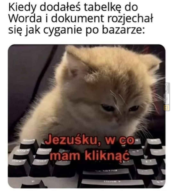 Śmieszny mem: 6282741 - MemLand