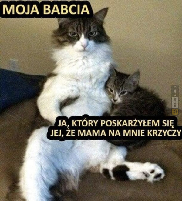 Śmieszny mem: 6285144 - MemLand