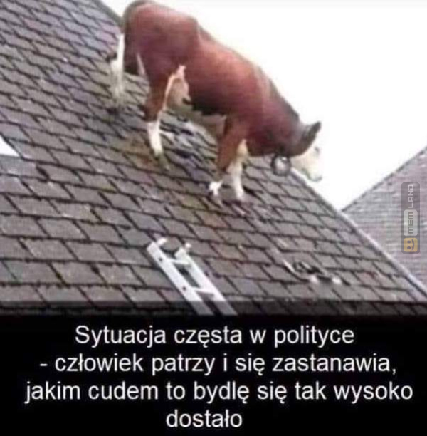 Śmieszny mem: 6286809 - MemLand