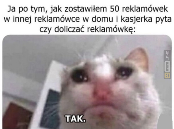 Śmieszny mem: 6290381 - MemLand