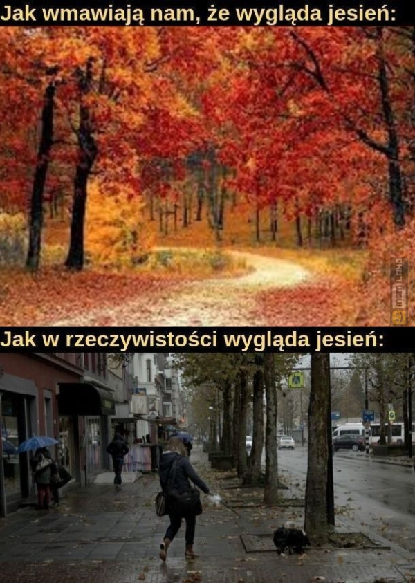 Śmieszny mem: 6294131 - MemLand