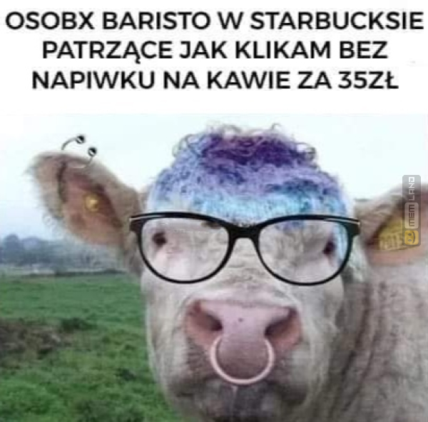 Śmieszny mem: 6296760 - MemLand