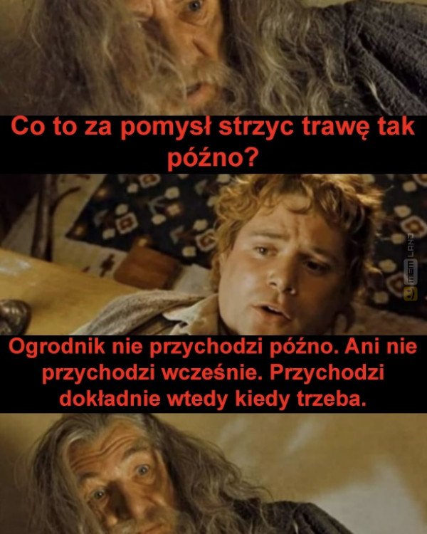 Śmieszny mem: 6296822 - MemLand