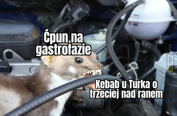 Śmieszny mem: 6301862 - MemLand