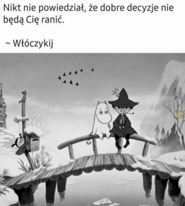 Śmieszny mem: 6303949 - MemLand