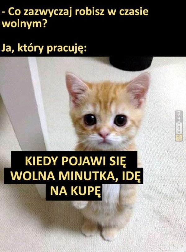 Śmieszny mem: 6305793 - MemLand